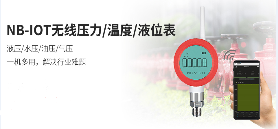 無(wú)線溫度表
