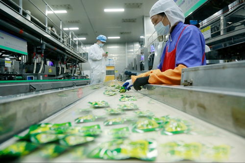 天門工業(yè)企業(yè)奮戰(zhàn)新春“開(kāi)門紅” 一線見(jiàn)聞