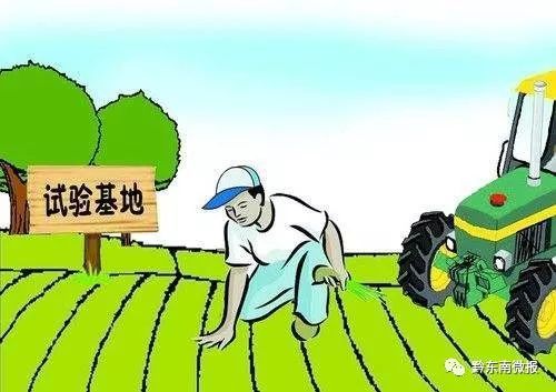 丹寨縣人大常委會精準幫扶洋浪村 從“土生土長”到“兩大家”的職業中介探索